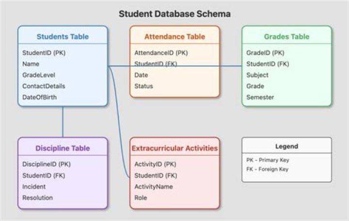 What is a database Year 3?