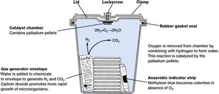 What is a GasPak jar used for?