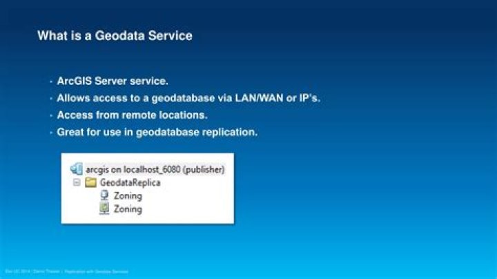 What is a geodata service?