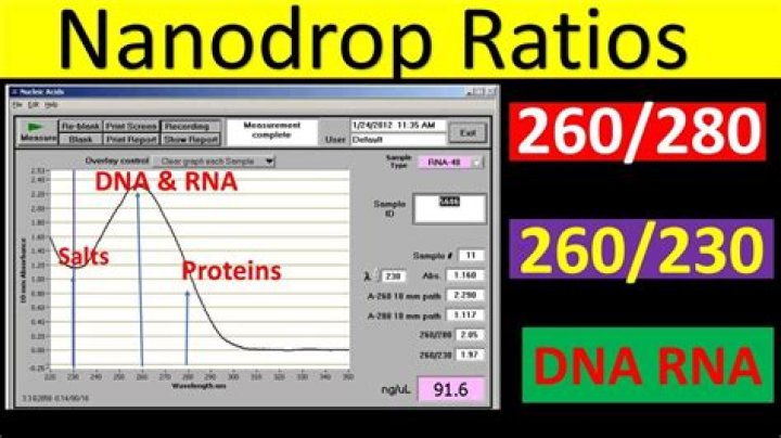 What is a good 260 230 ratio for RNA?