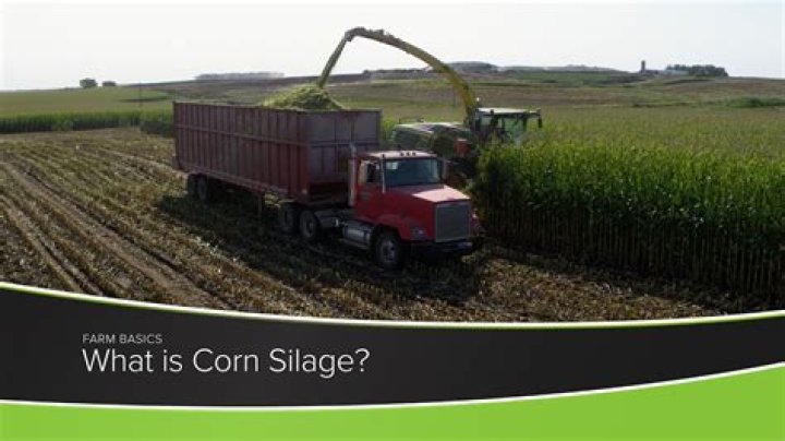 What is a good corn silage yield per acre?