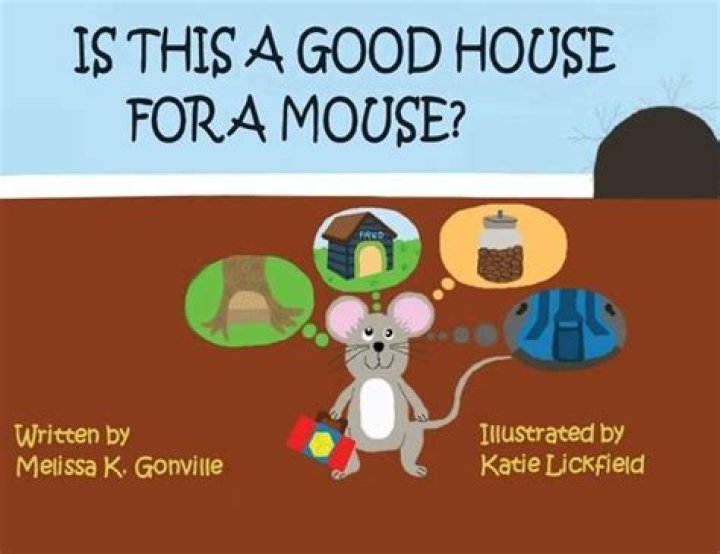 What is a good house for a mouse?