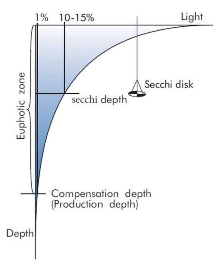 What is a good Secchi disk depth?