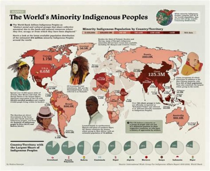 What is a minority in history?