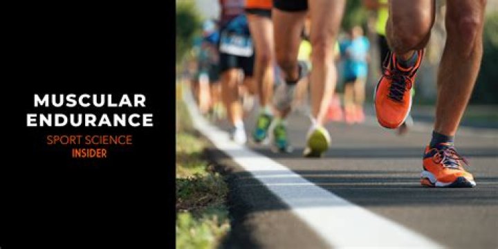 What is a muscular endurance quizlet?