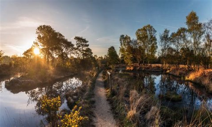 What is a nature reserve UK?