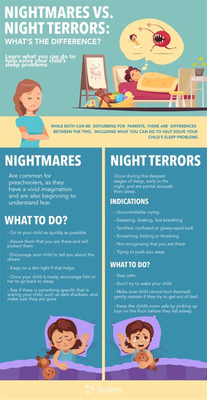 What is a night terror?