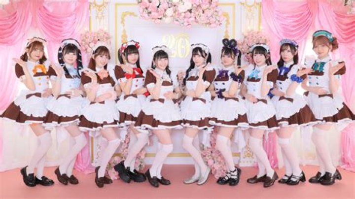 What is a Nikushoku danshi?