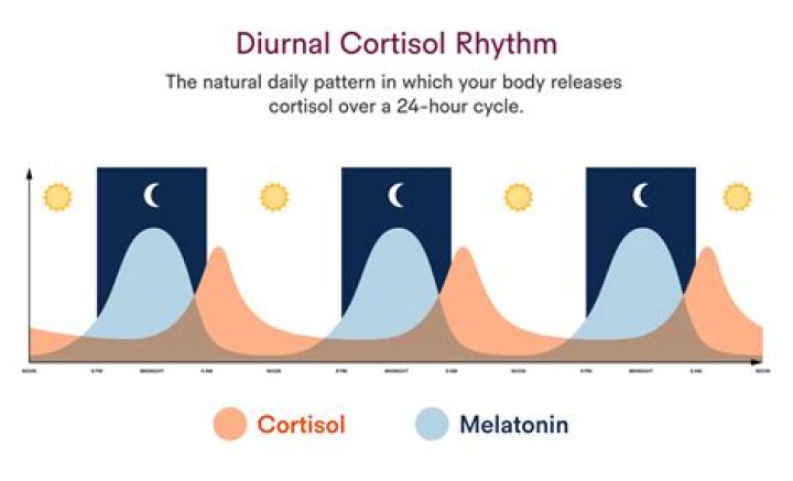 What is a normal cortisol baseline?