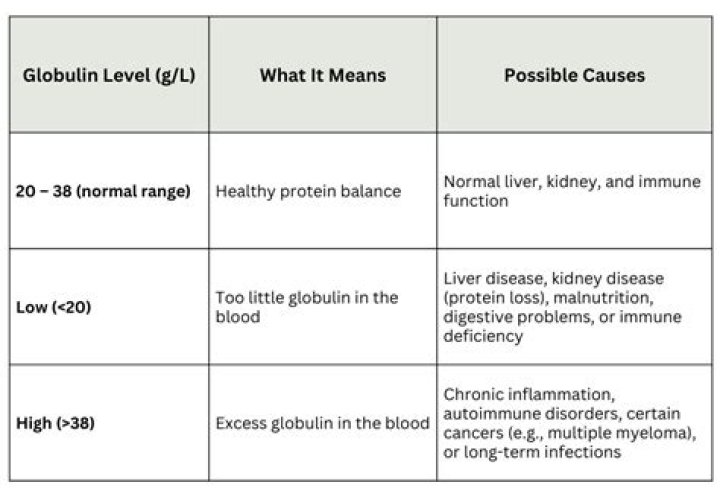 What is a normal globulin total?