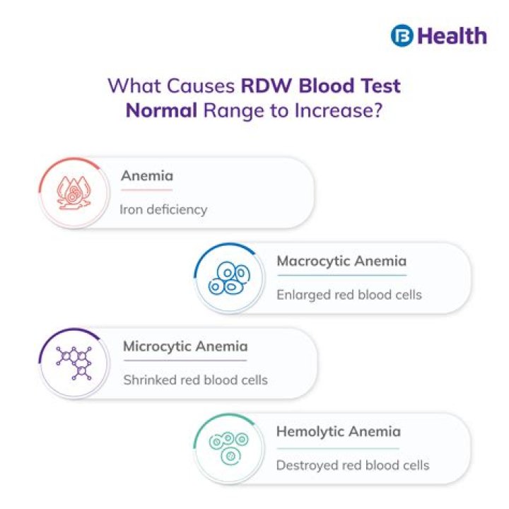 What is a normal RDW level in pregnancy?