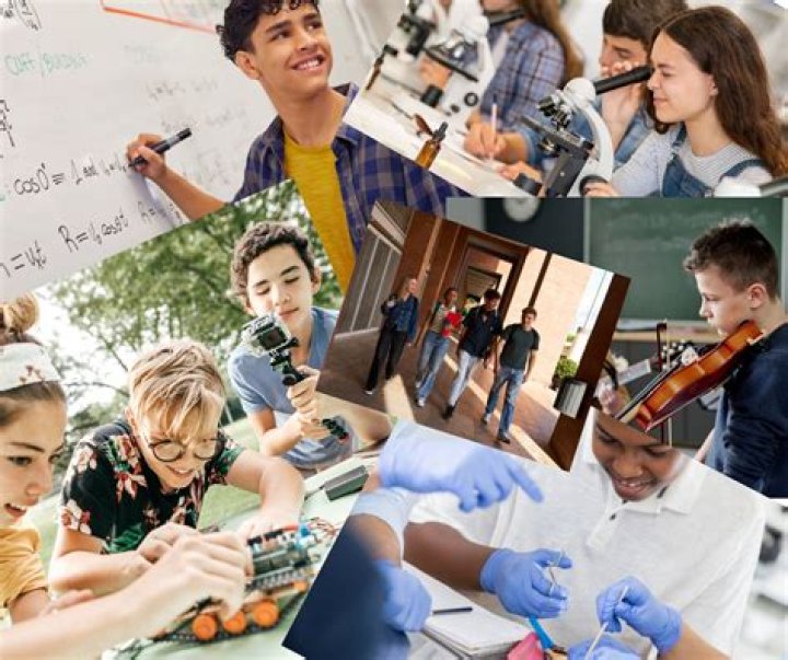 What is a pre-college school?