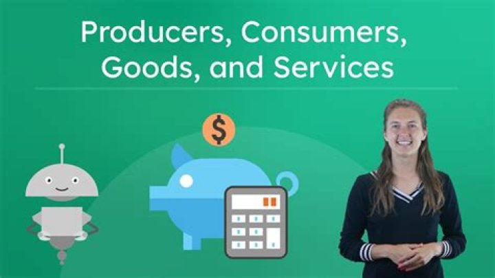 What is a producer of goods and services?
