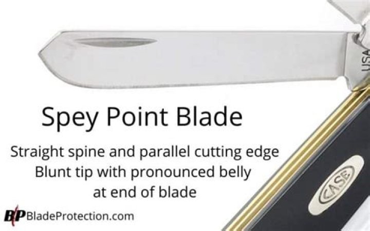 What is a spey blade?