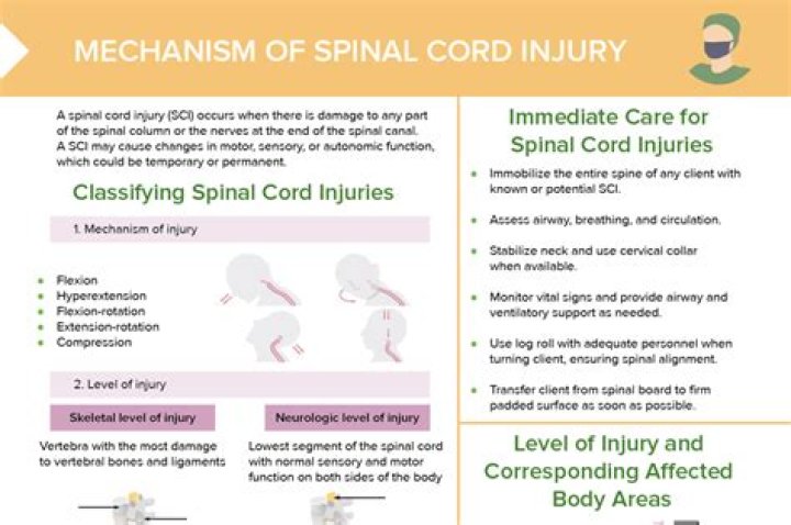 What is a spinal evaluation?