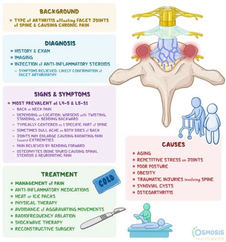 What is a stress reaction in the spine?
