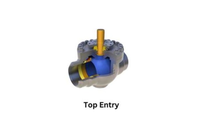 What is a top entry valve?