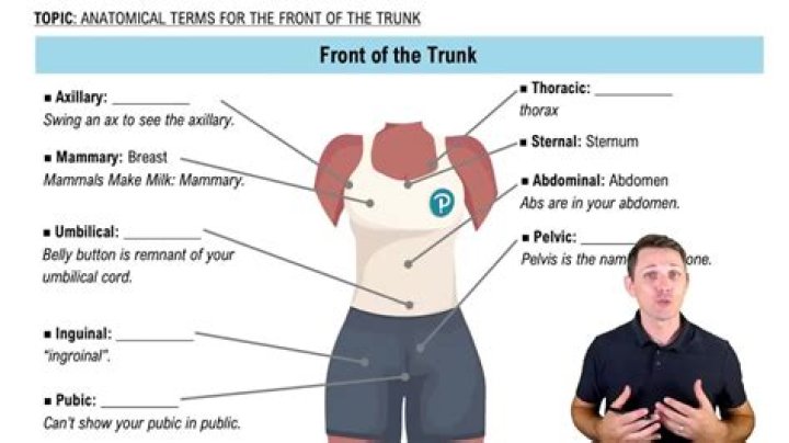 What is a trunk law?
