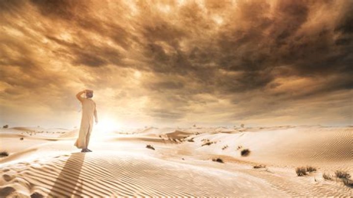 What is a wandering Aramean?