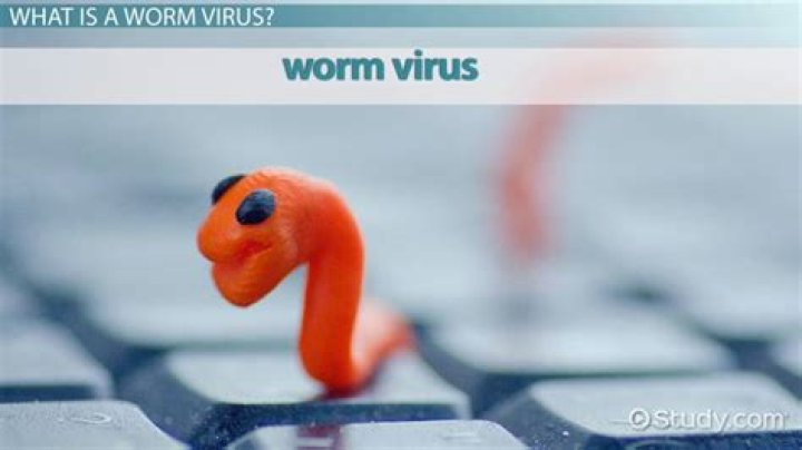 What is a worm virus simple definition?