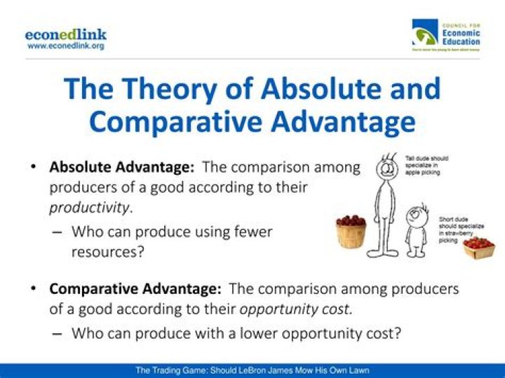 What is absolute advantage theory?