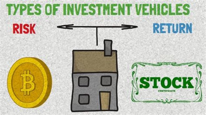 What is an alternative investment vehicle?