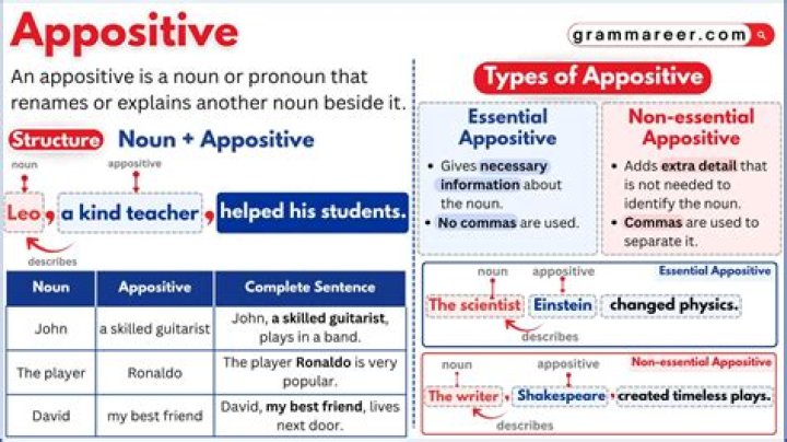 What is an appositive clause example?