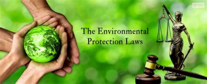 What is an environmental consent decree?