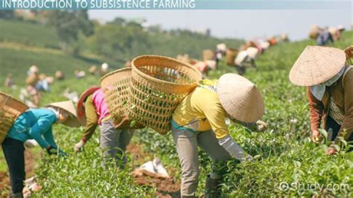 What is an example of a subsistence economy?