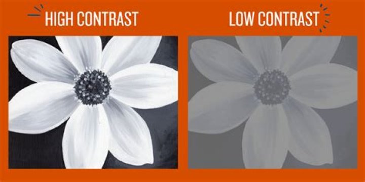 What is an example of contrast in art?