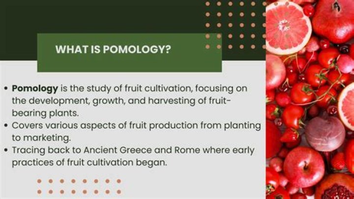 What is an example of pomology?
