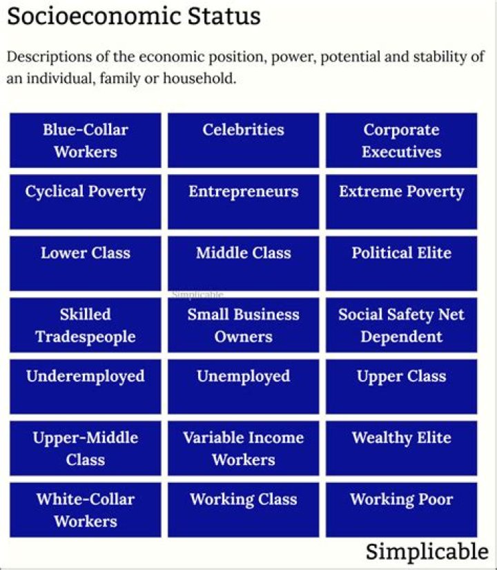 What is an example of socioeconomic?