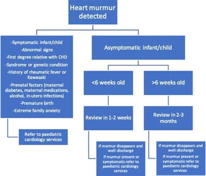 What is an innocent heart murmur in babies?