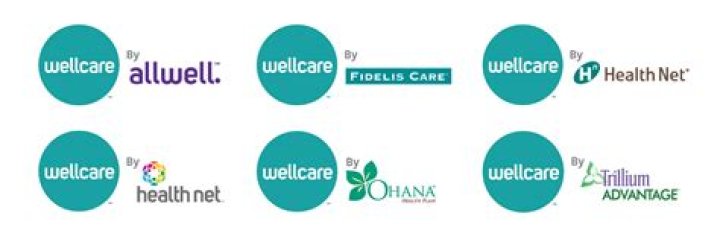 What is another name for WellCare?
