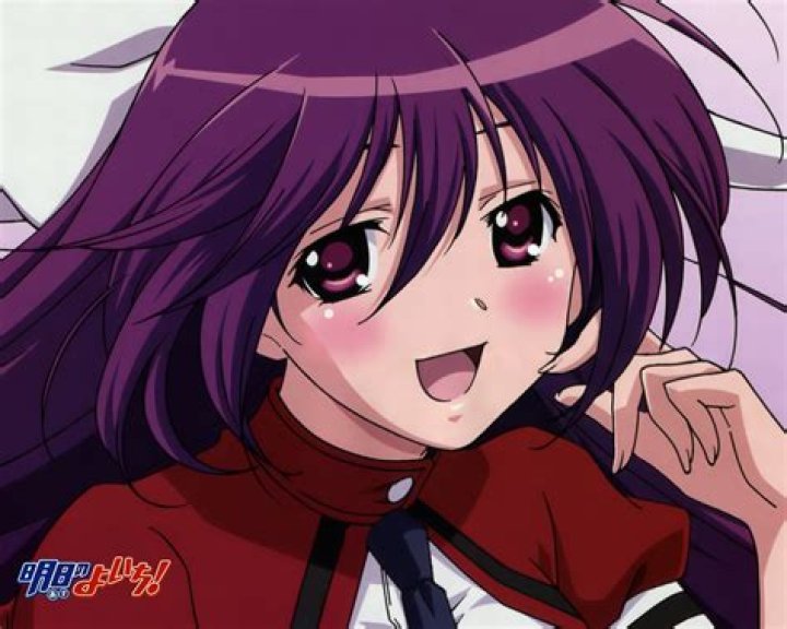 What is Asu no Yoichi about?