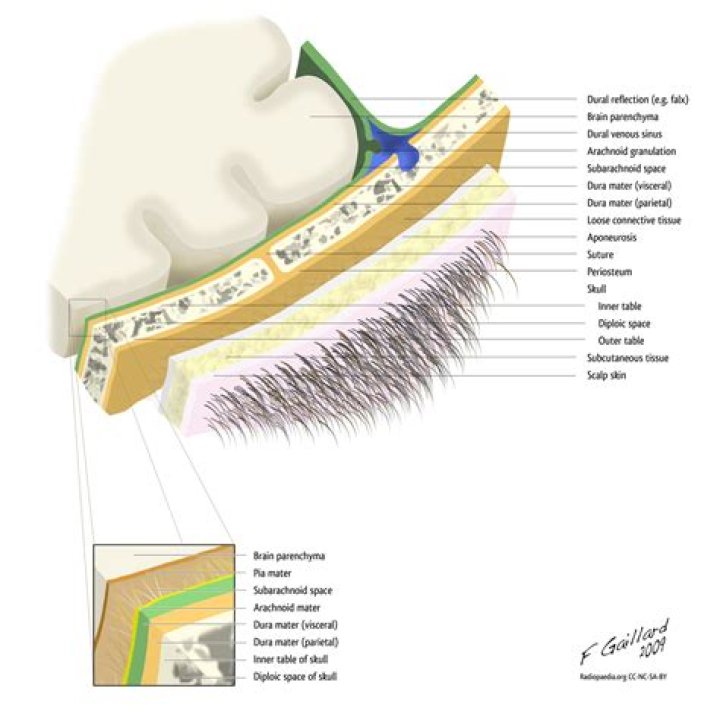What is between dura and pia mater?