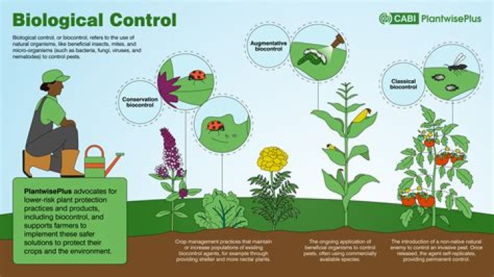 What is biological pest control PDF?