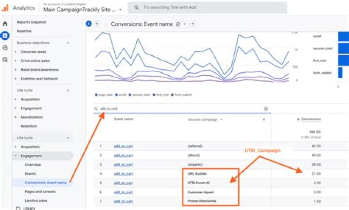 What is campaign in Web Analytics?