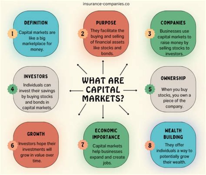 What is capital market and instruments PPT?