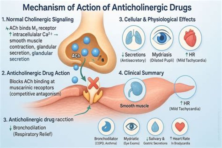 What is cholinergic drug?