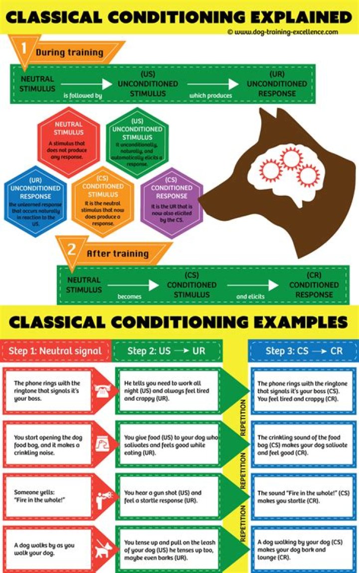 What is classical conditioning and how does it work?