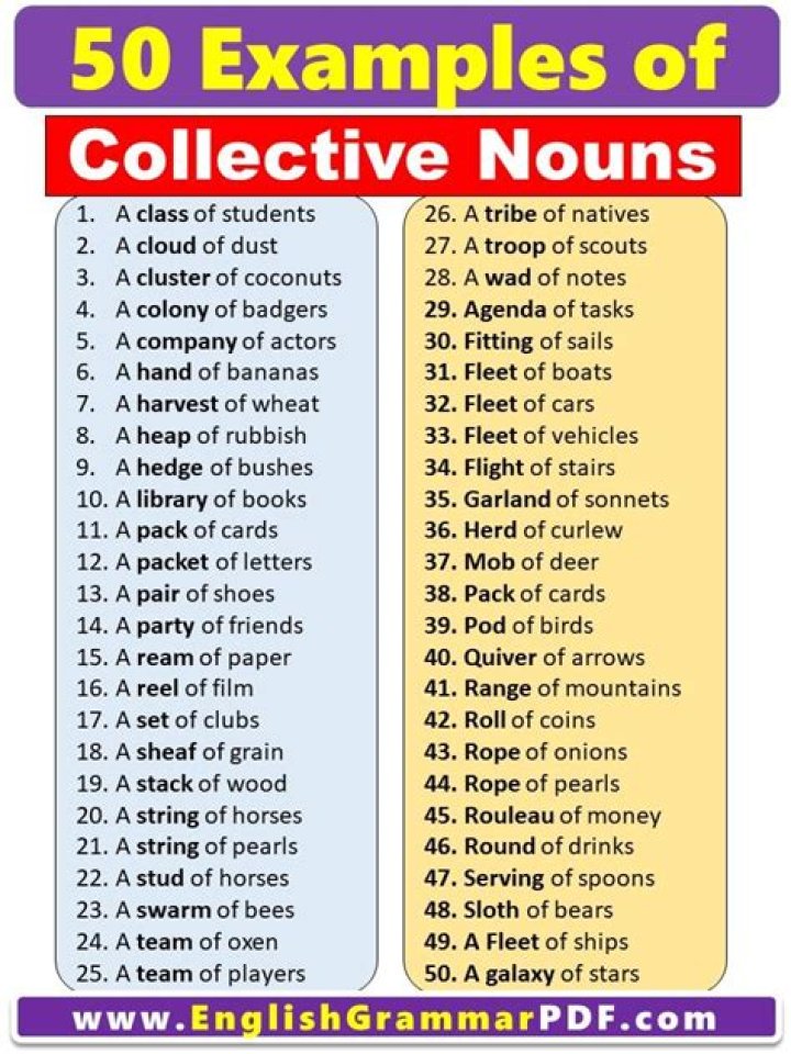 What is collective fleet?