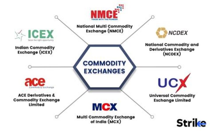 What is commodity in Marxian sense?
