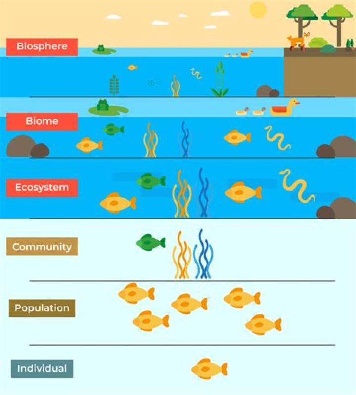 What is community ecology defined as?