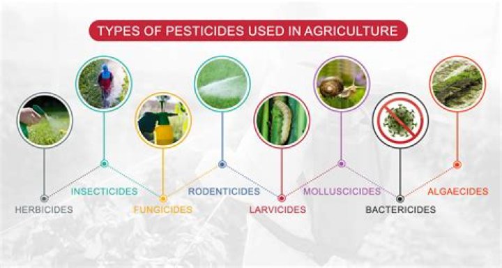 What is considered a natural pesticide?