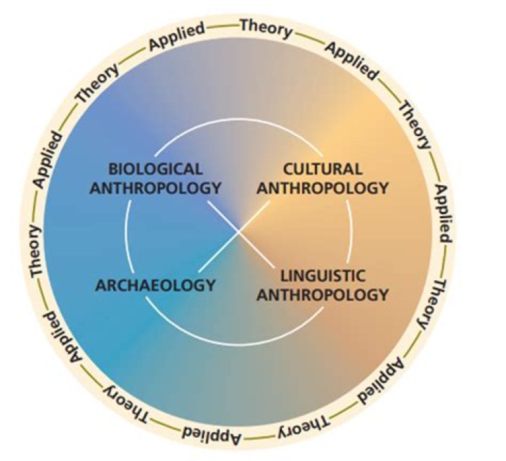 What is culture in anthropology example?