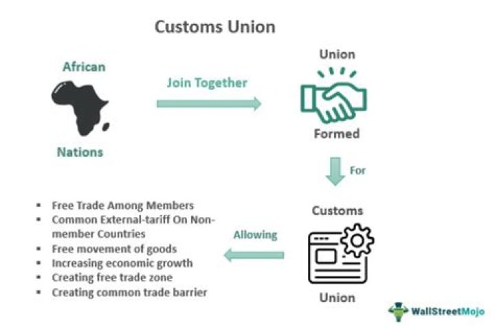 What is custom union with example?