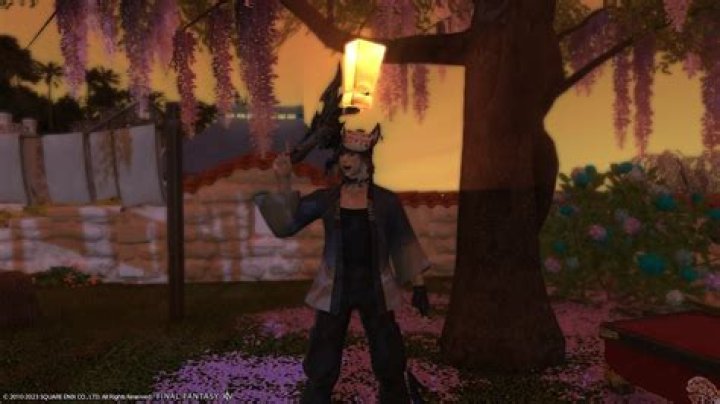 What is Dalamud ff14?