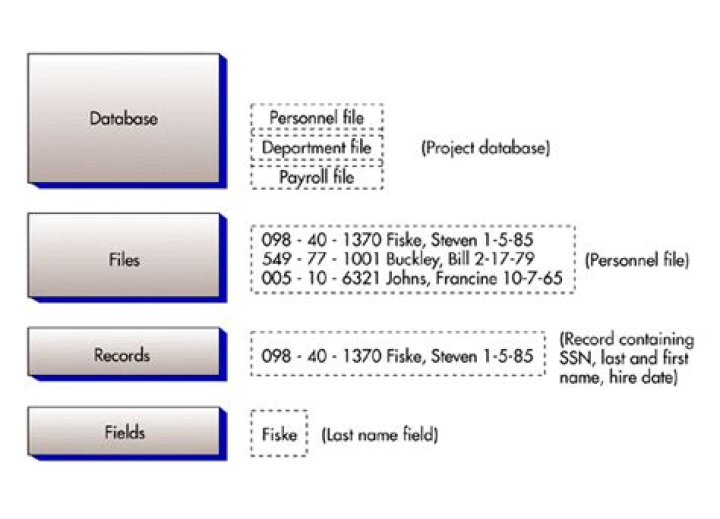 What is database file record and field?