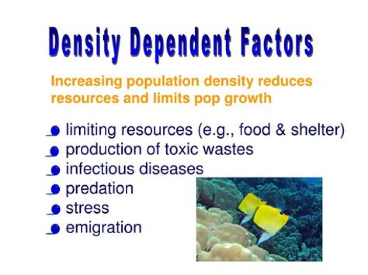 What is density dependence in ecology?